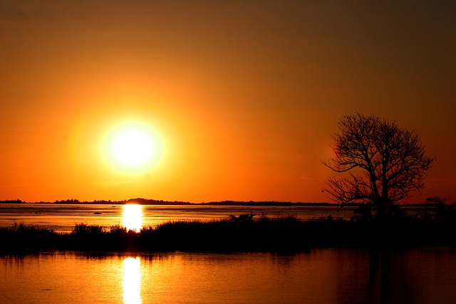 amazonka