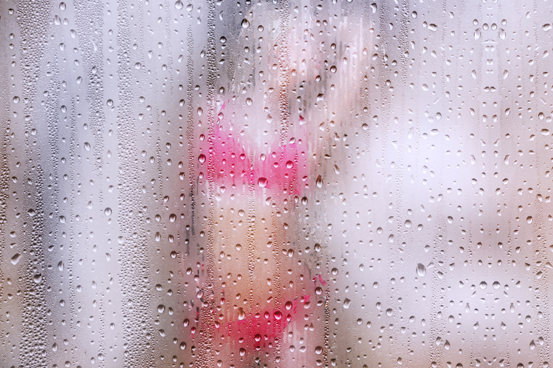 woman-2494070_1920